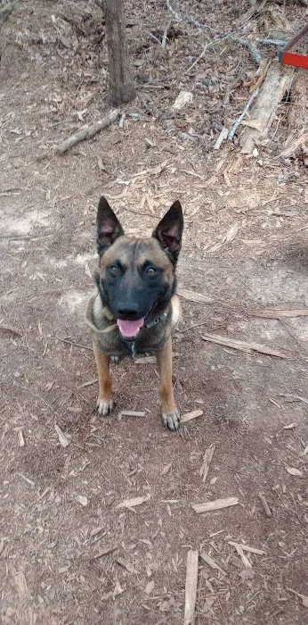 Lady Vet Picture 1