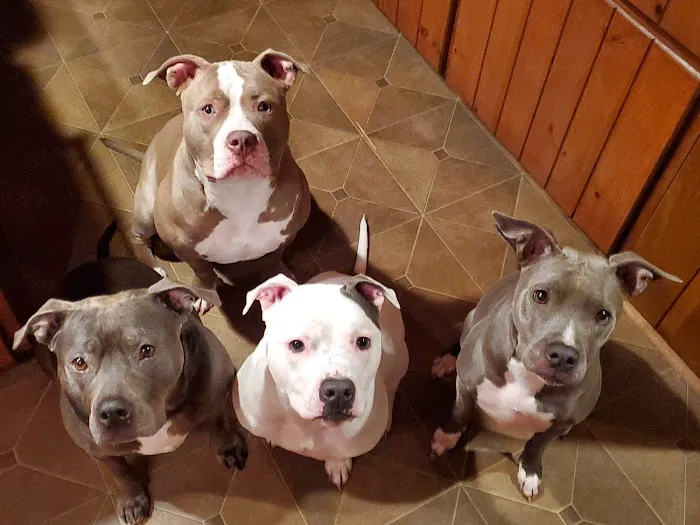 Lady Vet Picture 5