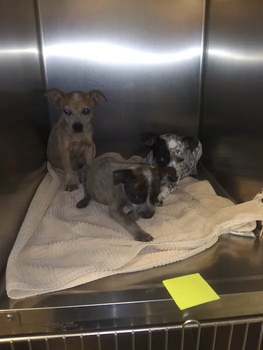 Wright's Veterinary Clinic Picture 3