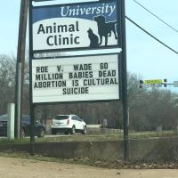 University Animal Clinic Tyler ico