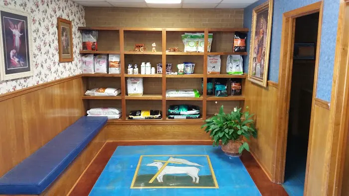 University Animal Clinic Tyler Picture 7