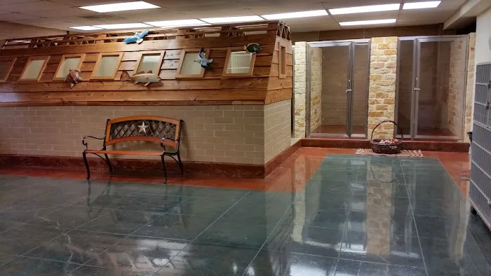 University Animal Clinic Tyler Picture 6