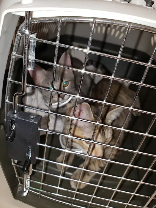 University Animal Clinic Tyler Picture 9