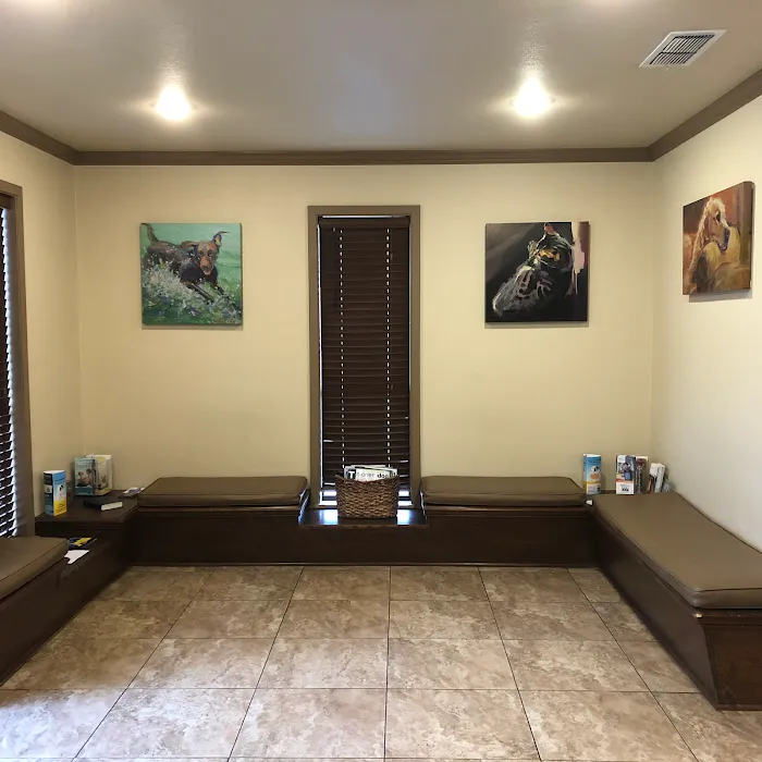 Chapel Hill Veterinary Clinic Picture 3