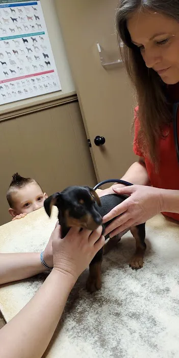 Chapel Hill Veterinary Clinic Picture 4