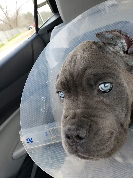 Pittsburg Veterinary Clinic Picture 5