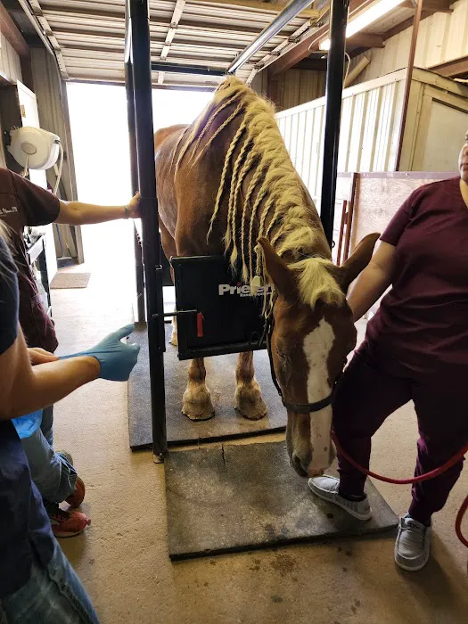 Pittsburg Veterinary Clinic Picture 9