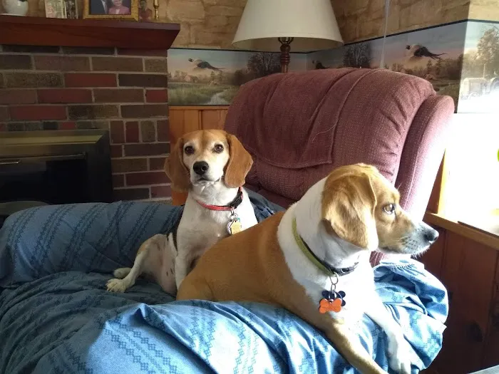 Cole Veterinary Hospital Picture 5