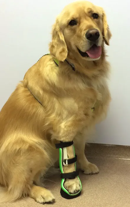 Mackinaw Veterinary Associates Picture 5
