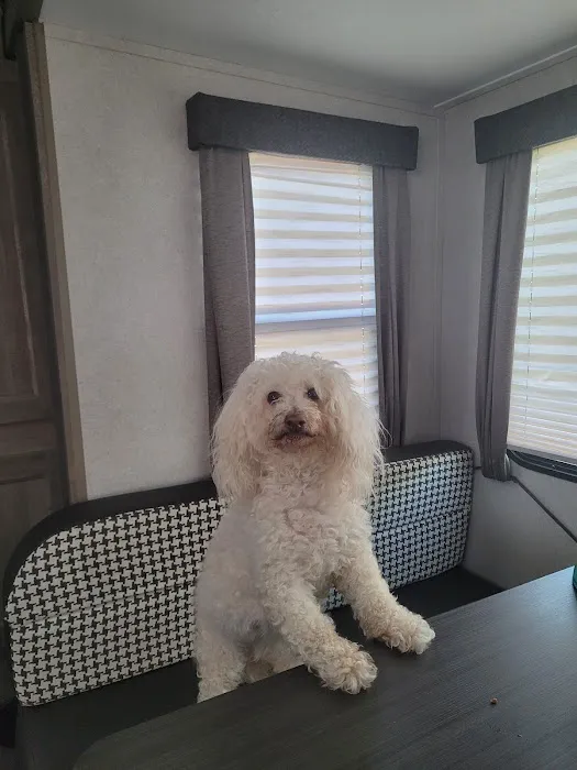 Mackinaw Veterinary Associates Picture 10