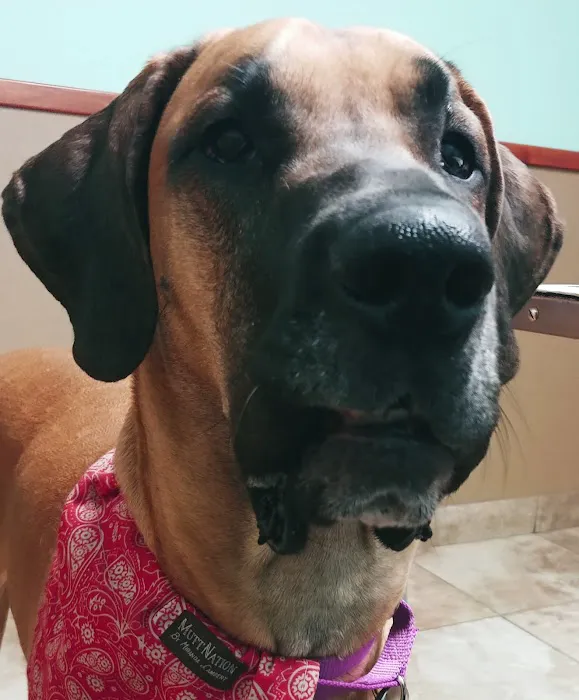 Bangor Veterinary Clinic Picture 1