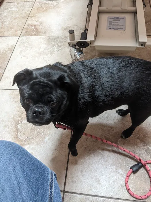 Bangor Veterinary Clinic Picture 2