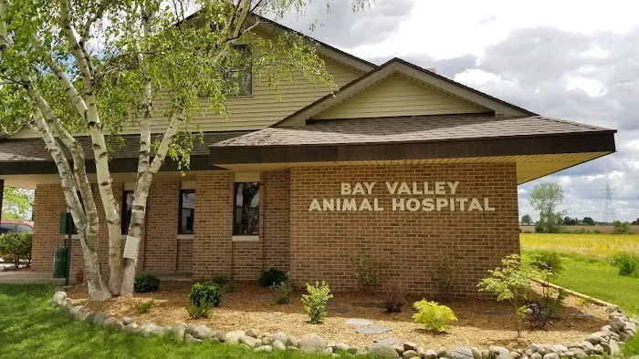 Bay Valley Animal Hospital Picture 3