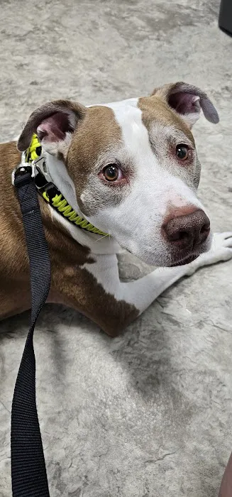 Bay Valley Animal Hospital Picture 9