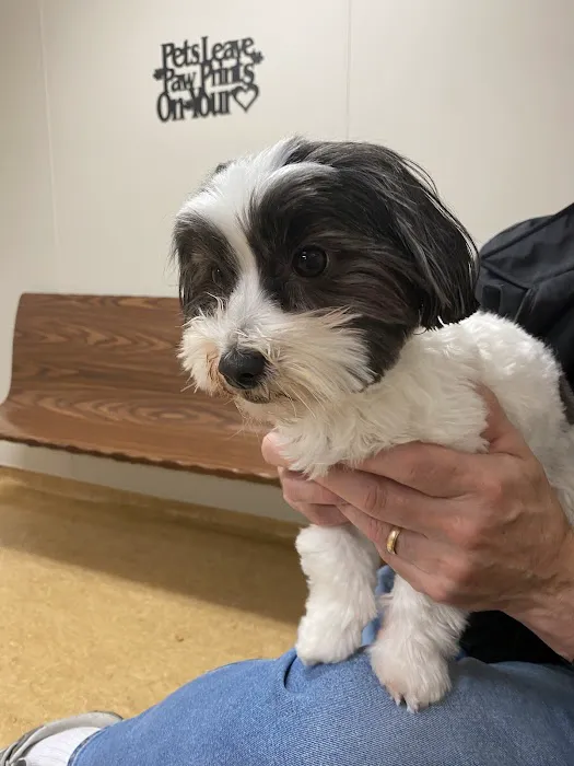 Riverside Animal Clinic Picture 7