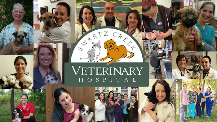 VCA Swartz Creek Animal Hospital Picture 3