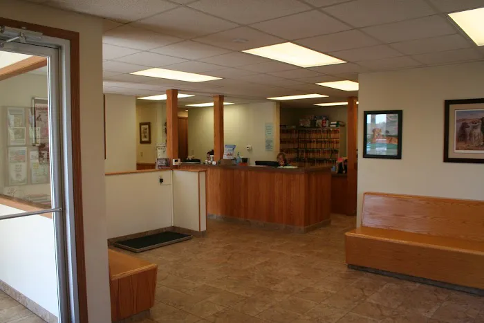 VCA Swartz Creek Animal Hospital Picture 1