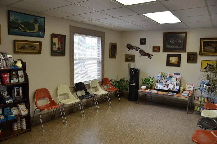 Midtown Veterinary Services & Hospital Picture 2