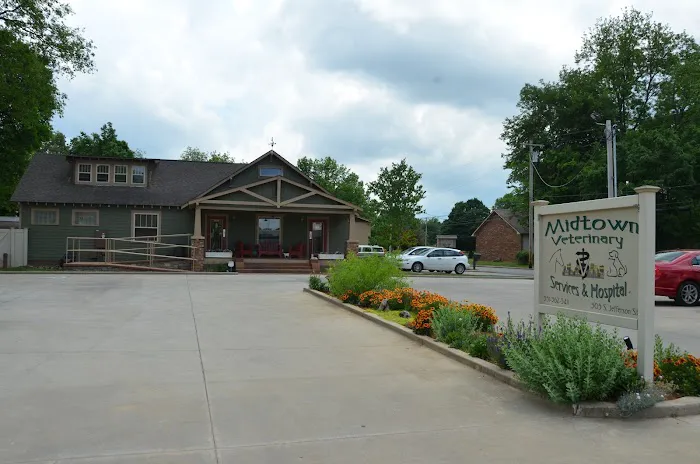 Midtown Veterinary Services & Hospital Picture 5