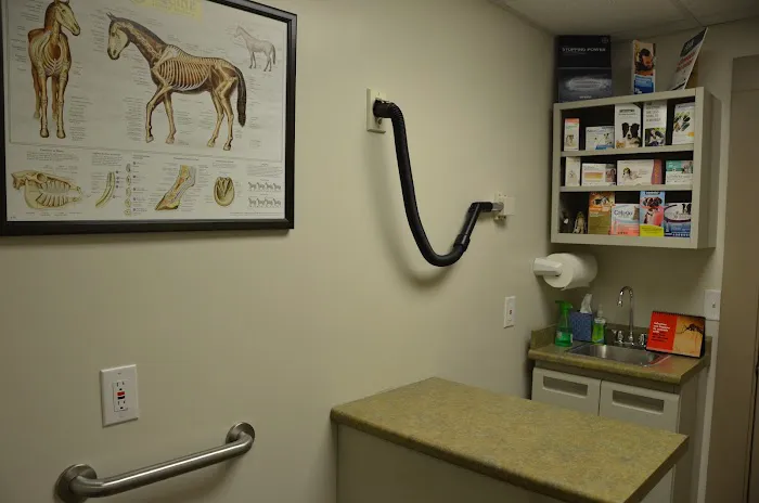 Midtown Veterinary Services & Hospital Picture 8