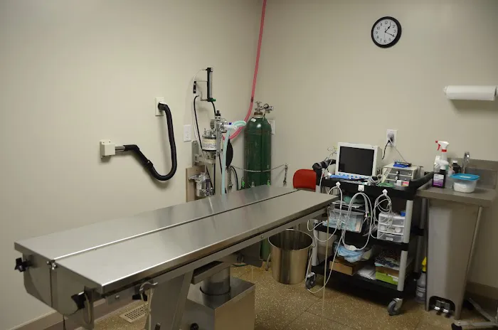 Midtown Veterinary Services & Hospital Picture 9