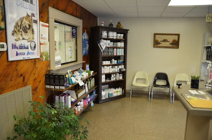 Midtown Veterinary Services & Hospital Picture 10