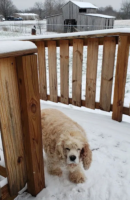 Elk River Veterinary Care Picture 10