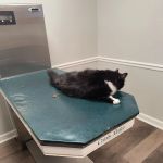 Berry Animal Hospital