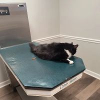 Berry Animal Hospital ico