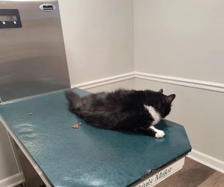 Berry Animal Hospital