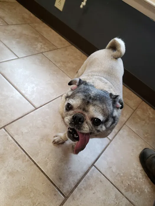 Berry Animal Hospital Picture 5