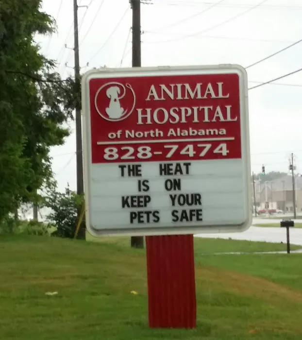 Berry Animal Hospital Picture 7