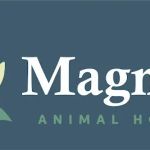 Magnolia Animal Hospital