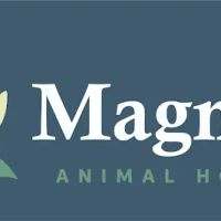 Magnolia Animal Hospital ico