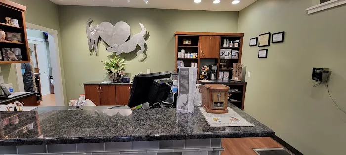 Ardmore Companion Animal Hospital Picture 2