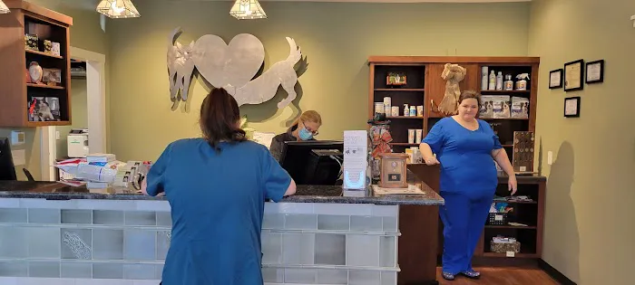 Ardmore Companion Animal Hospital Picture 10