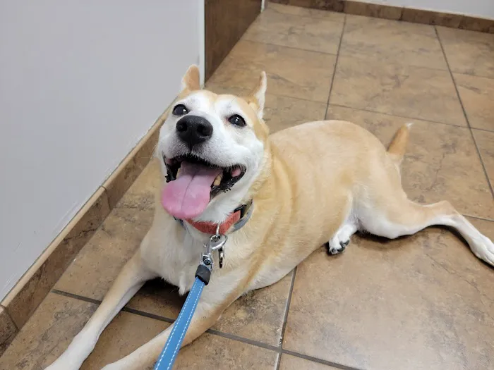 Countryside Veterinary Hospital Picture 7