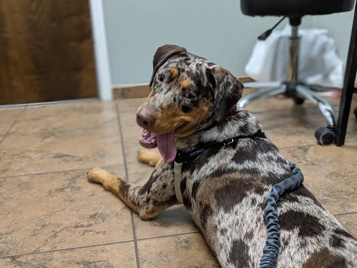 Countryside Veterinary Hospital Picture 8