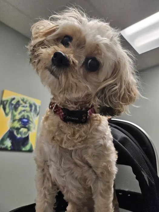 Countryside Veterinary Hospital Picture 10
