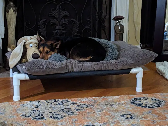 Healthy Petz Veterinary Hospital, LLC Picture 5