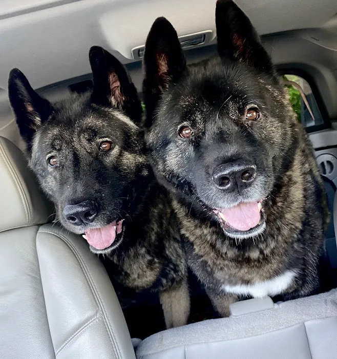 Healthy Petz Veterinary Hospital, LLC Picture 7