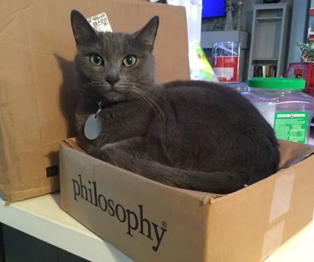 Veterinary Wellness Clinic of Spring Hill