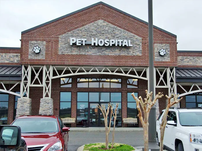 Agape Pet Hospital Picture 3