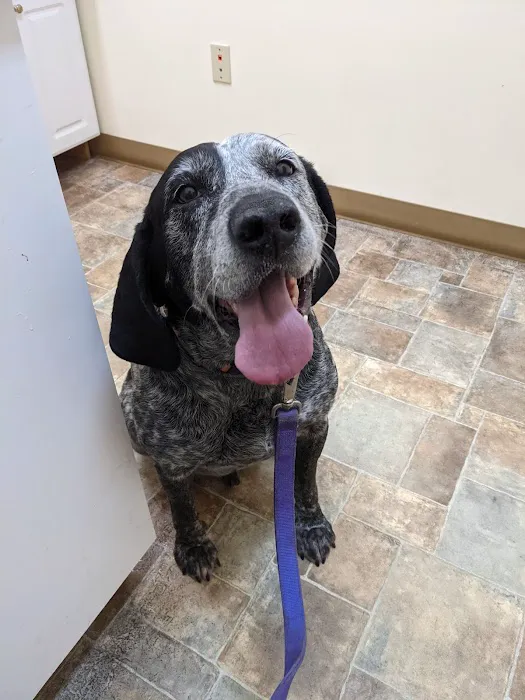 All Creatures Veterinary Clinic Picture 1