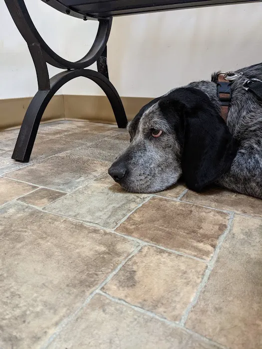 All Creatures Veterinary Clinic Picture 5