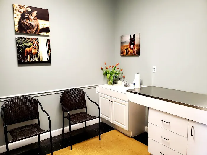 Veterinary Wellness Clinic Of Columbia Picture 4