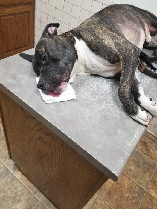 Maury County Veterinary Hospital Picture 2
