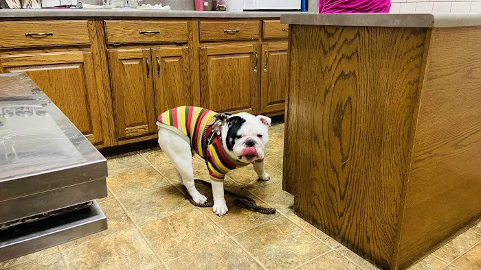 Maury County Veterinary Hospital Picture 6