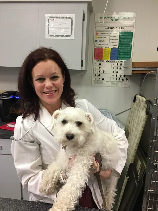 Bay Moorings Animal Hospital Picture 2