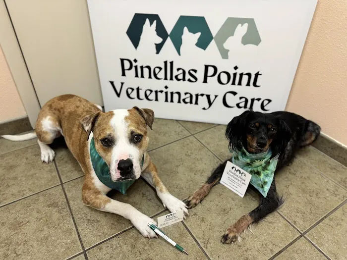 Pinellas Point Veterinary Care Picture 2